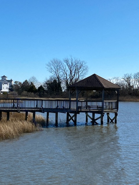 Gallery Photo 32